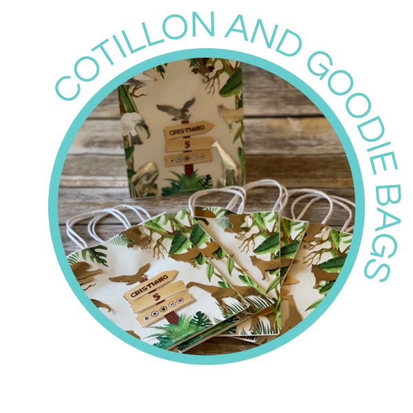Cotillion and goodie bags | Custom party decorations